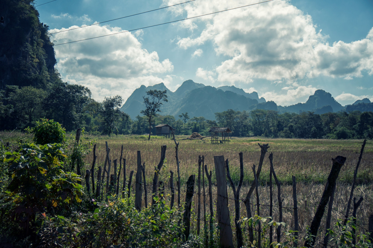 Laos_field_MTBLAO_ToddMeier.jpg